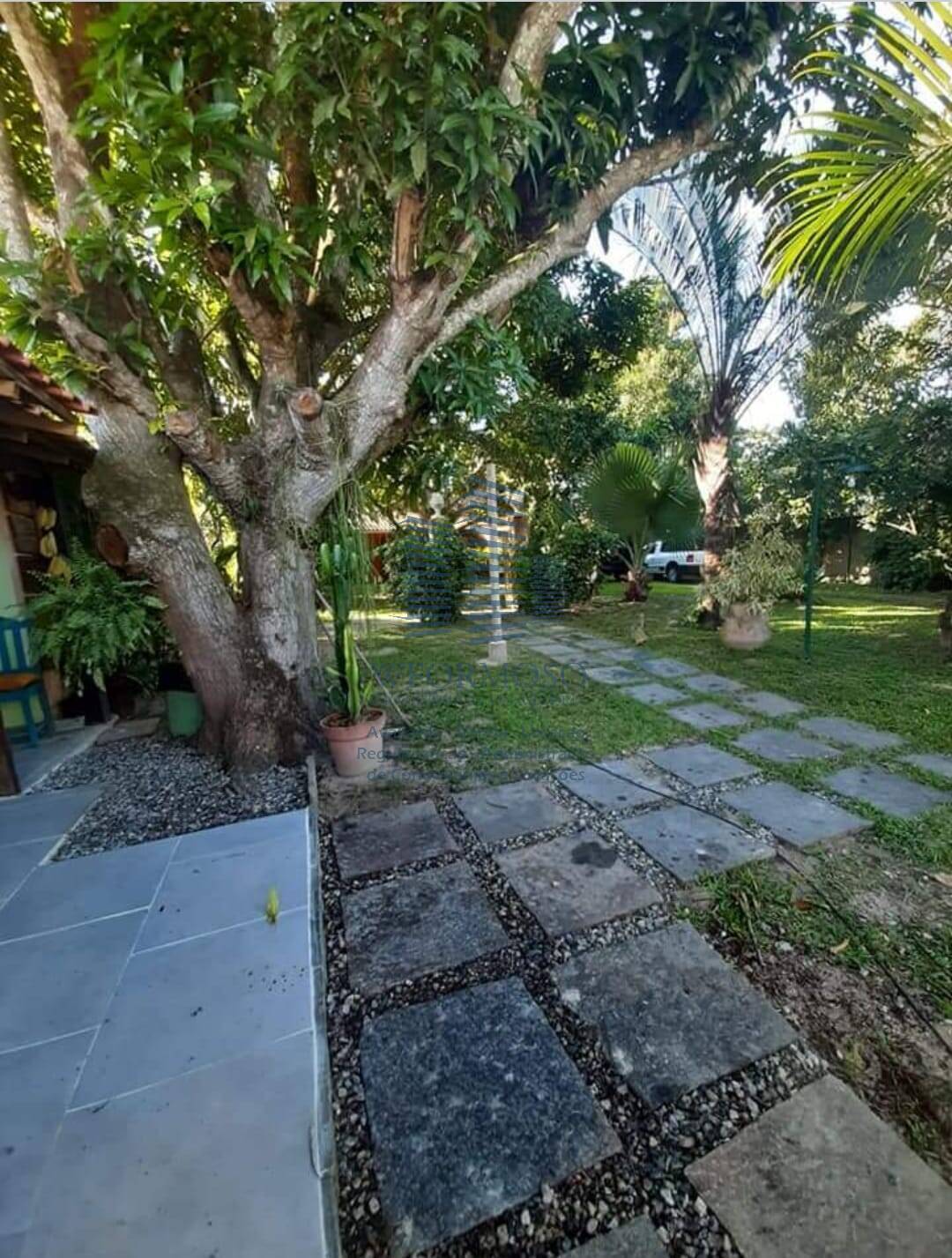 Fazenda à venda com 4 quartos, 280m² - Foto 4